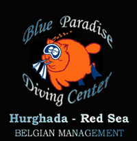 LogoBlueParadise
